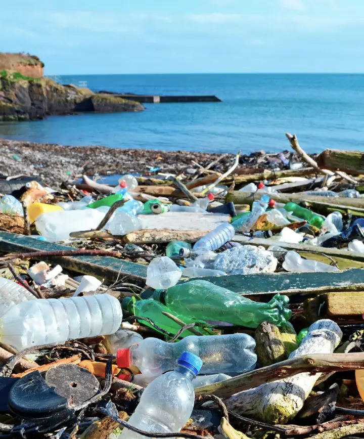 Africa Waste Management Market